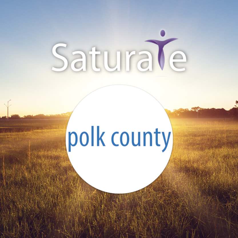 Polk County Icon