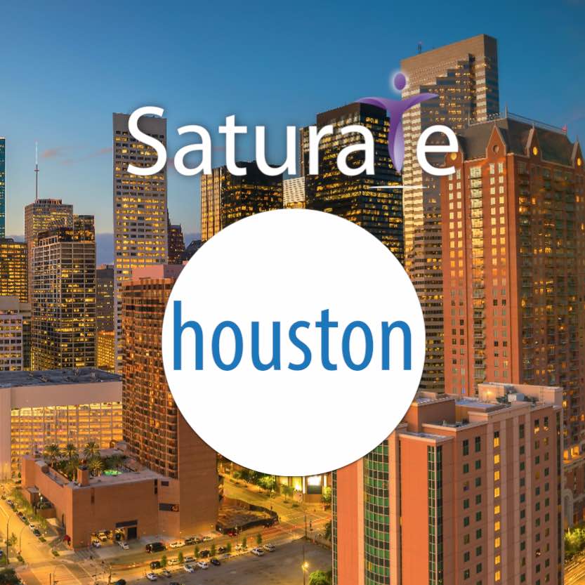 Houston Icon